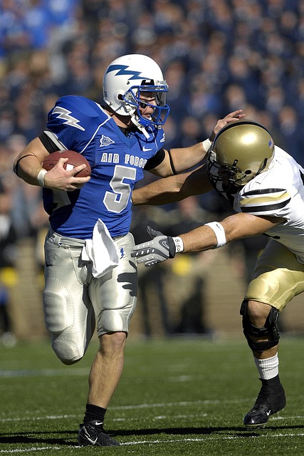 兰克福的大 兰克福的大