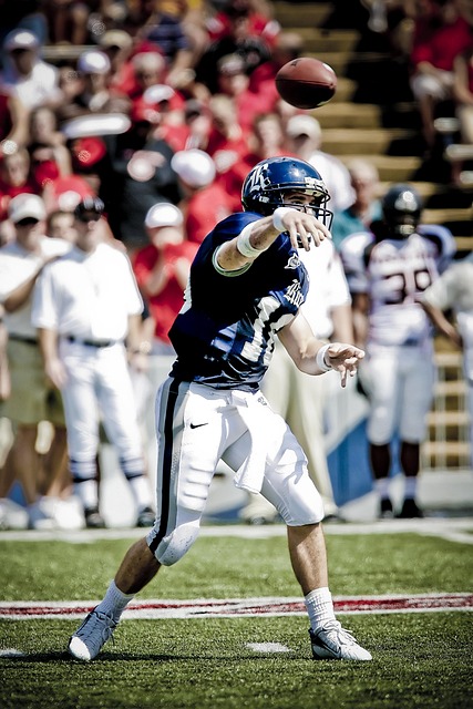 方斯卡的不 方斯卡的不